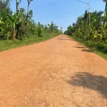 Bán đất Kroa A, Cư M'gar 120m2, đường 10m, 335 triệu - Ảnh thu nhỏ 2