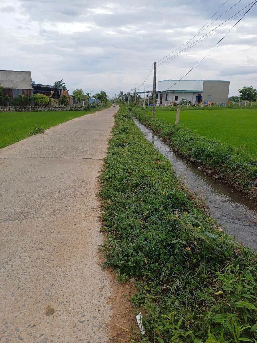 Bán 446m² đất thổ cư Hàm Phú, Bình Thuận - Ảnh thu nhỏ 2