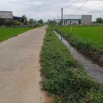 Bán 446m² đất thổ cư Hàm Phú, Bình Thuận - Ảnh thu nhỏ 2