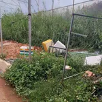 Bán đất hẻm ôtô Nguyên Từ Lực Đà Lạt 80m2 650 triệu - Ảnh thu nhỏ 1
