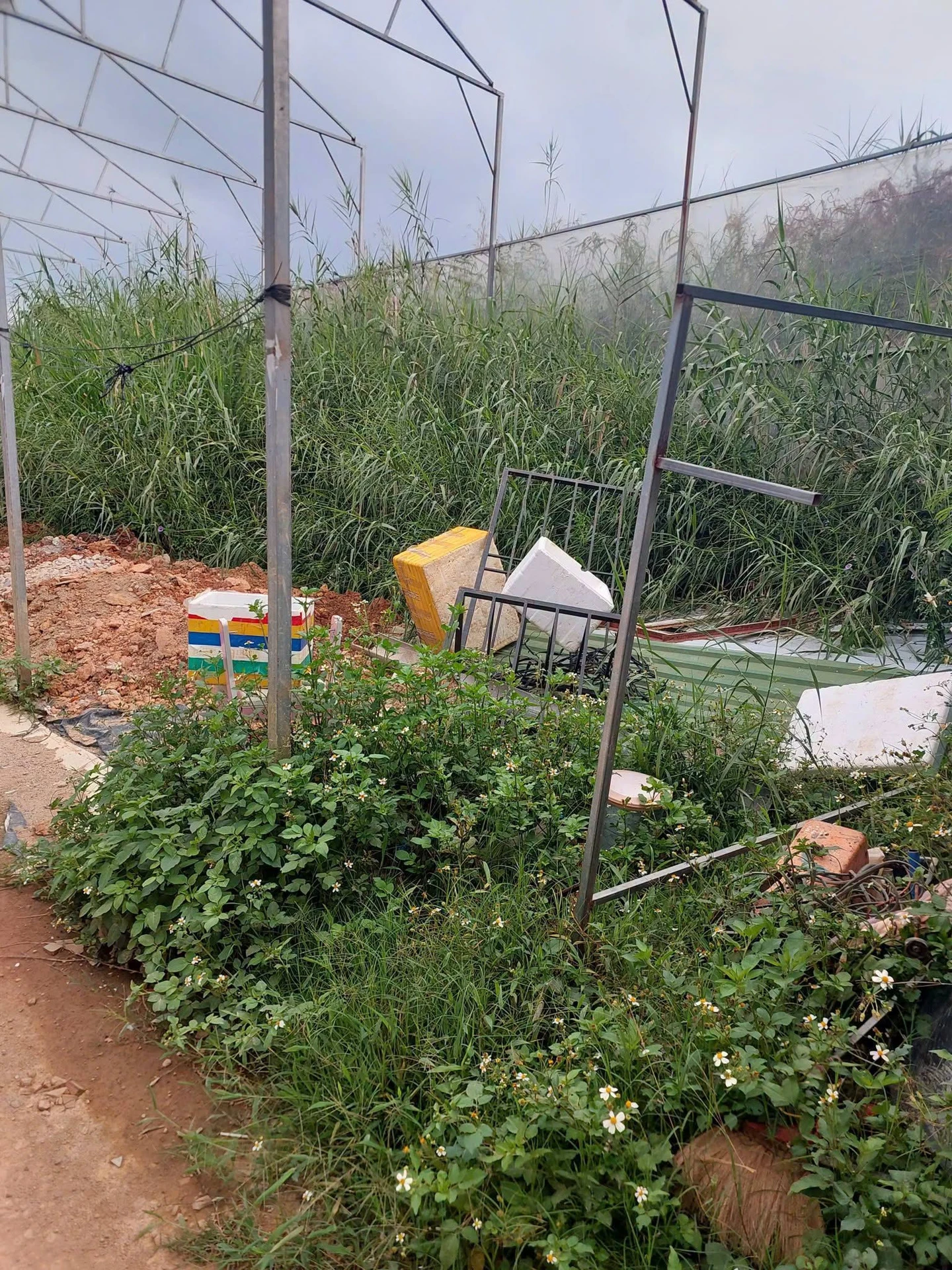 Bán đất hẻm ôtô Nguyên Từ Lực Đà Lạt 80m2 650 triệu - Ảnh 1