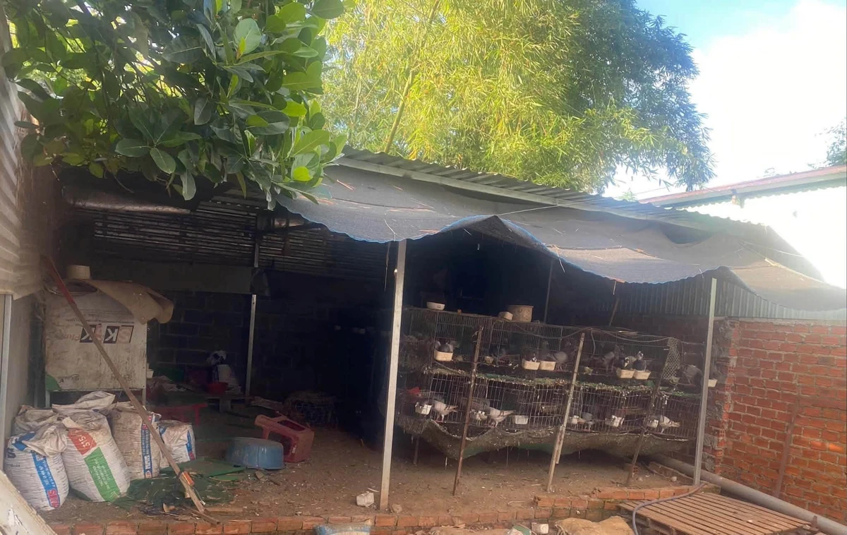 Bán nhà 60m² 2PN tại Phường Bình Mỹ Thạnh, Bình Chánh - Ảnh thu nhỏ 4