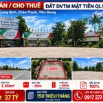 Đất DVTM mặt tiền Quốc lộ 1A, Long Định 3.368m2, mặt tiền 50m, tiện kinh doanh, showroom - Ảnh thu nhỏ 4