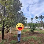 Bán đất Hóc Môn 155m2, gần hồ Việt Đức, 225 triệu - Ảnh thu nhỏ 5