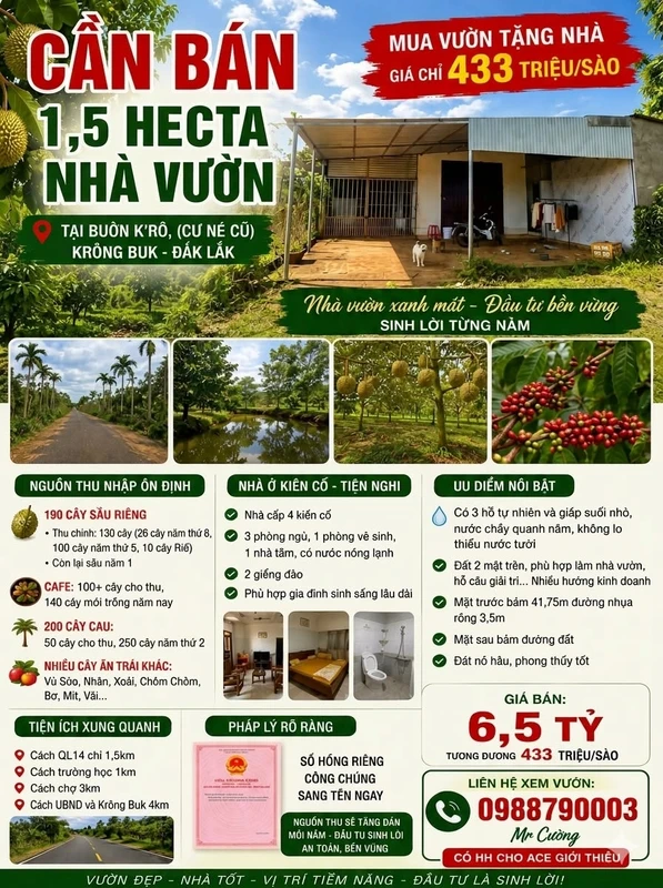 Bán 1,5 ha nhà vườn sầu riêng xen cà phê tại buôn K'rô, Krông Búk giá 6,5 tỷ