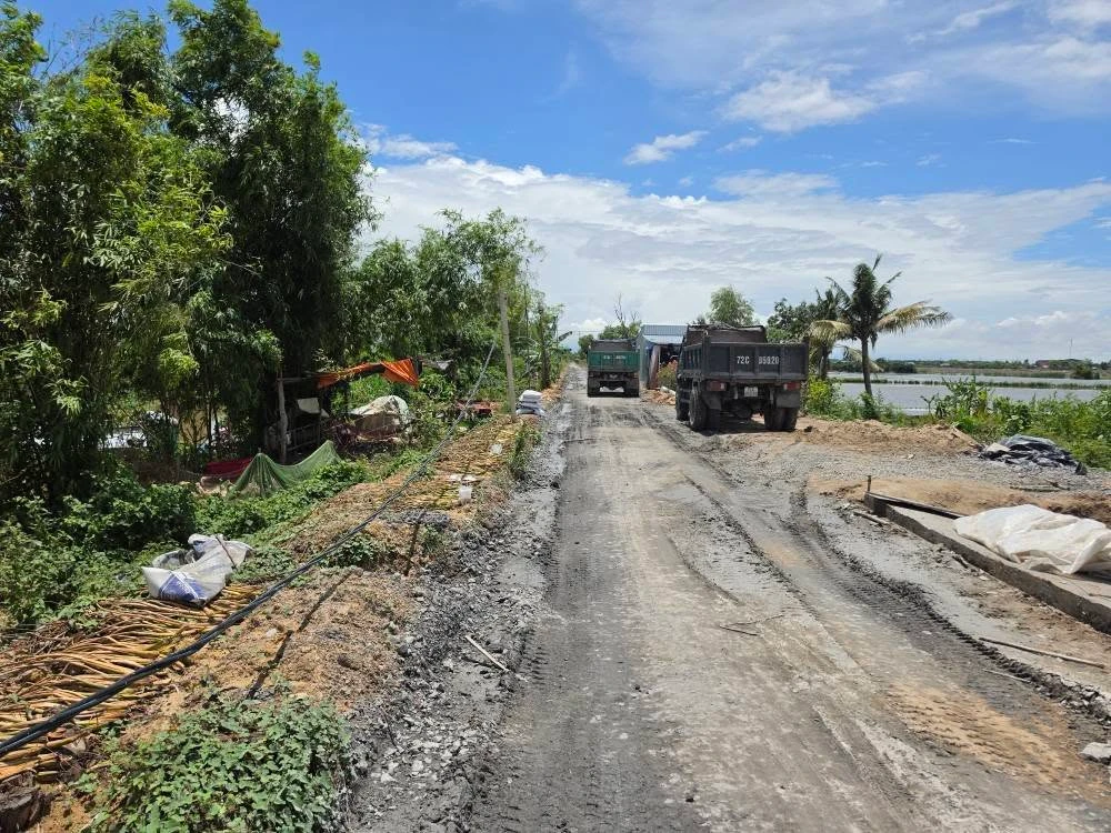 Bán đất nền và ruộng mặt tiền 8m x 135m gần chợ Phú Hiệp, Tam Nông, Đồng Tháp - Ảnh thu nhỏ 5