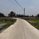 1.198m2 đất lúa, quy hoạch phân khu đất ở An Tịnh - Trảng Bàng - Tây Ninh - Ảnh thu nhỏ 3