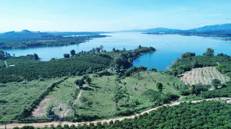 Bán đất nông nghiệp 1.000-2.000m² Đăk Hà, Kon Tum, 280-350 tr/1.000m²