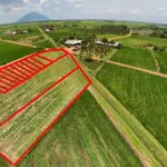 Bán lô đất 1.000m² tại Dương Minh Châu, Tây Ninh - 220 triệu - Ảnh thu nhỏ 2
