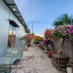 Bán đất + nhà + vườn dừa + ao 760m² Huỳnh Tấn Phát Bến Tre 3 tỷ - Ảnh thu nhỏ 5