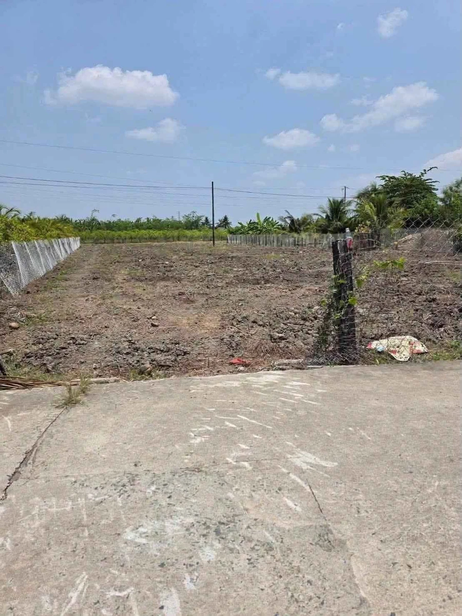 Bán đất lúa 2.000m2 được chuyển thổ, mặt tiền đan ô tô tại xã Vĩnh Công, Châu Thành, Long An - Ảnh thu nhỏ 3