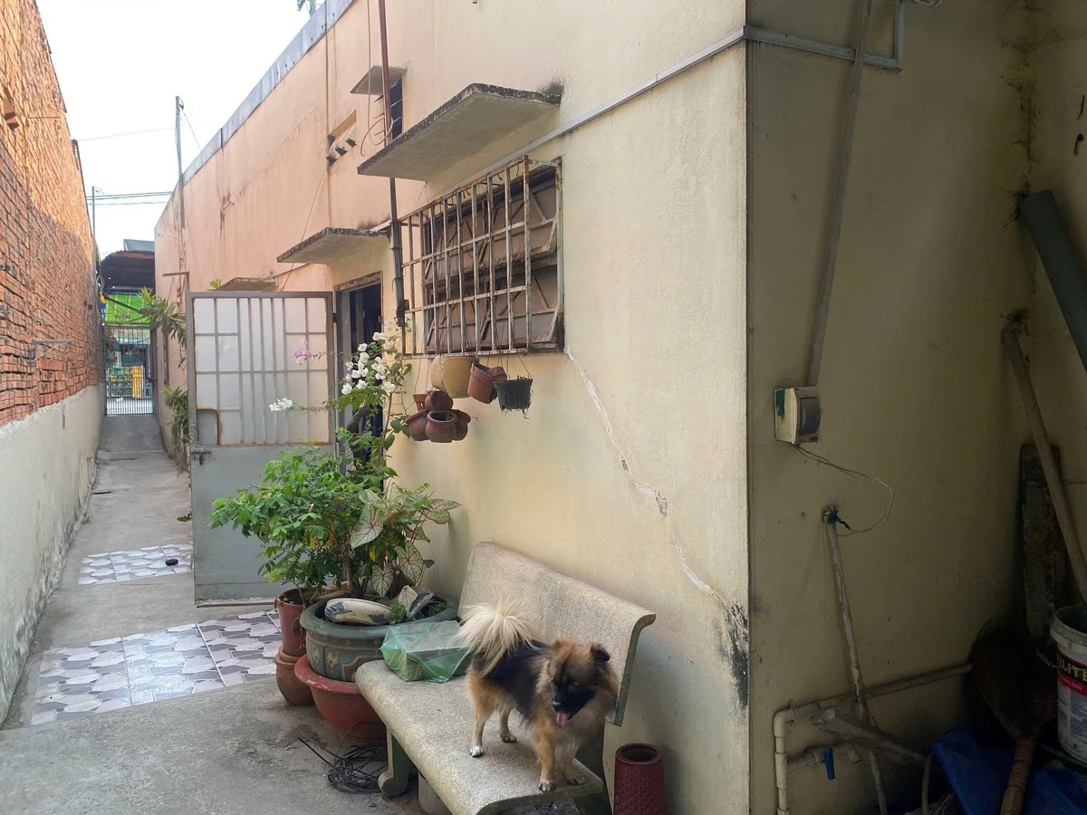 Bán nhà mặt tiền Thới Tam Thôn 6, Hóc Môn 163m² 10 tỷ - Ảnh thu nhỏ 5