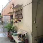 Bán nhà mặt tiền Thới Tam Thôn 6, Hóc Môn 163m² 10 tỷ - Ảnh thu nhỏ 5