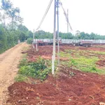 Bán đất làm nhà vườn 540m2 giá 480 triệu tại Phường Tân Lập, Đắk Lắk - Ảnh thu nhỏ 5