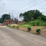Bán 2 lô đất mặt tiền Nông Cơ Xã Sông Thao, 70m² và 100m² - Ảnh thu nhỏ 4