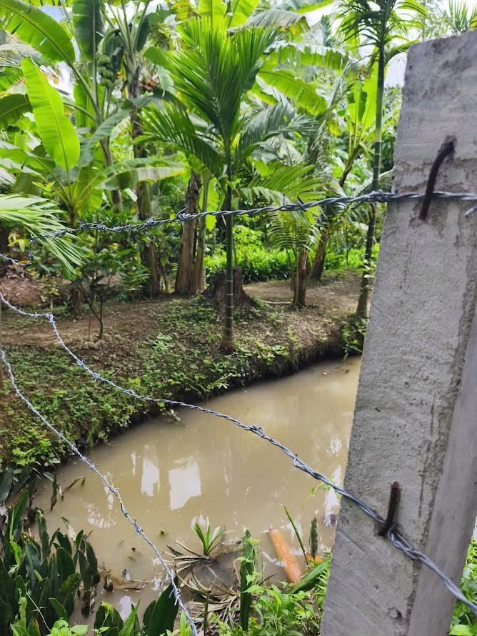 Bán đất Phú Túc Châu Thành 1700m2, 970 triệu - Ảnh thu nhỏ 2