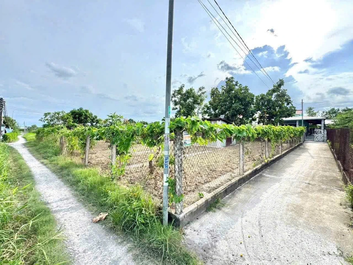 Bán đất 489m² Mỹ Lộc, Tây Ninh - 1 tỷ 400 triệu - Ảnh thu nhỏ 4
