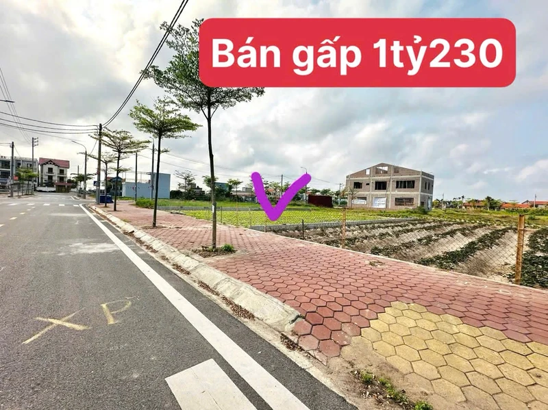 Bán lô đất 100m², mặt tiền 5m gần KCN VSIP, 1 tỷ 230