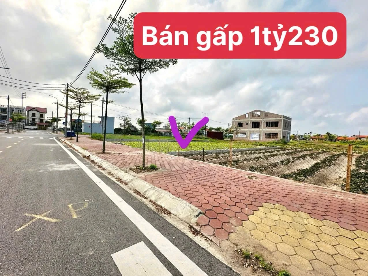 Bán lô đất 100m², mặt tiền 5m gần KCN VSIP, 1 tỷ 230 - Ảnh 1