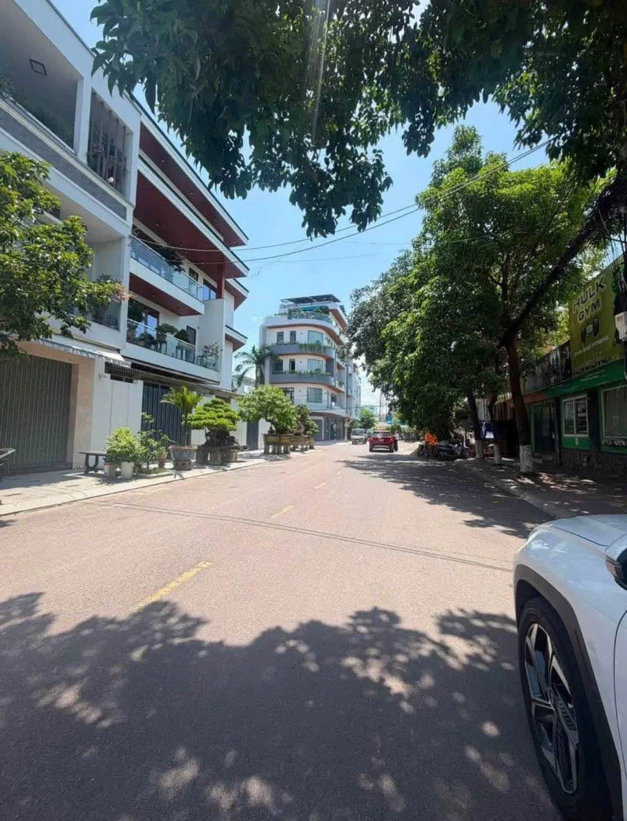 Bán đất mặt tiền Đinh Công Tráng 43,5m2, khu Nguyễn Thị Định, Quy Nhơn - Ảnh 1