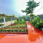 Bán nhà sân vườn 310m² 2PN tại Cần Giuộc Long An 2 tỷ 780 triệu - Ảnh thu nhỏ 3