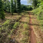 Bán lô đất rẫy đất đỏ 1,5 ha trồng cà phê, sầu riêng tại xã Ea Ral, Đắk Lắk - Ảnh thu nhỏ 1