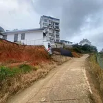 Bán nhà gỗ view đẹp 455m2 Đà Lạt - Ảnh thu nhỏ 3