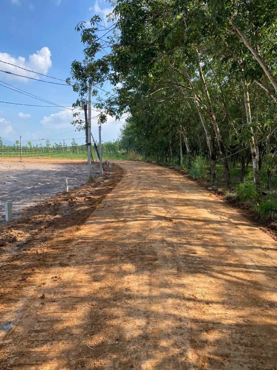 Bán đất Thạnh Bình Tây Ninh 200m2, giá 129 triệu - Ảnh thu nhỏ 2