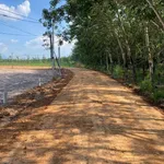 Bán đất Thạnh Bình Tây Ninh 200m2, giá 129 triệu - Ảnh thu nhỏ 2
