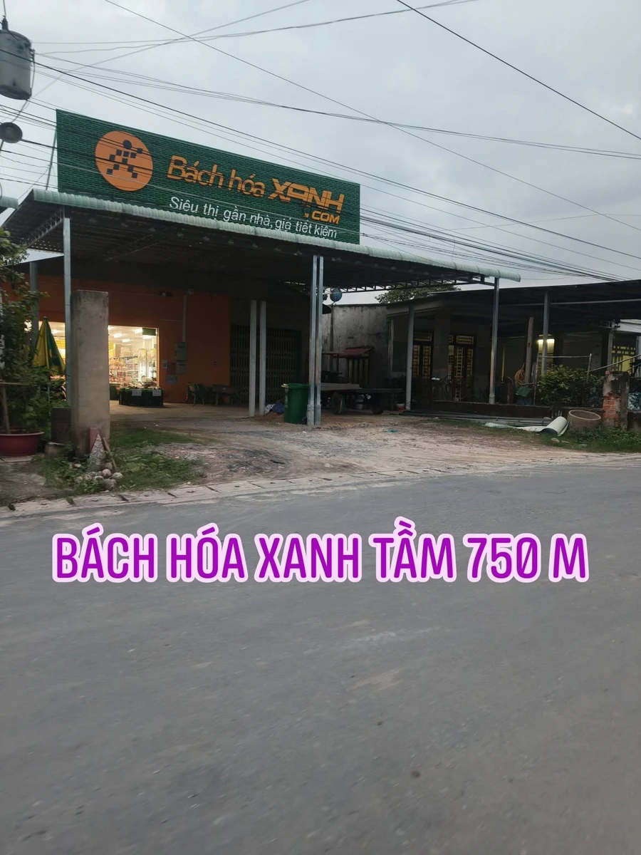 Bán đất Tây Ninh 258–283m² giá 225 triệu sổ cứu - Ảnh thu nhỏ 3