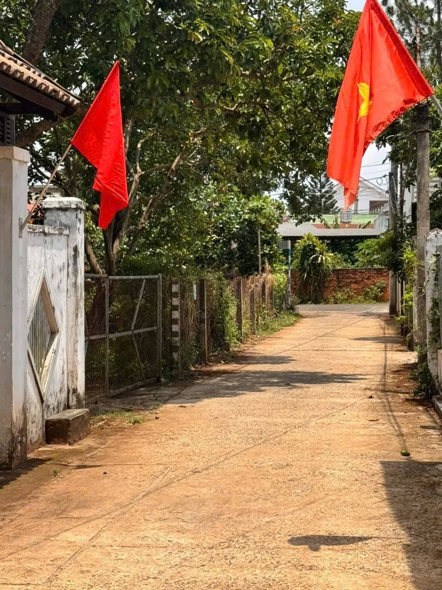 Bán đất 226m² Phường Tân An, Bình Chánh - Ảnh 1