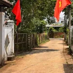 Bán đất 226m² Phường Tân An, Bình Chánh - Ảnh thu nhỏ 1