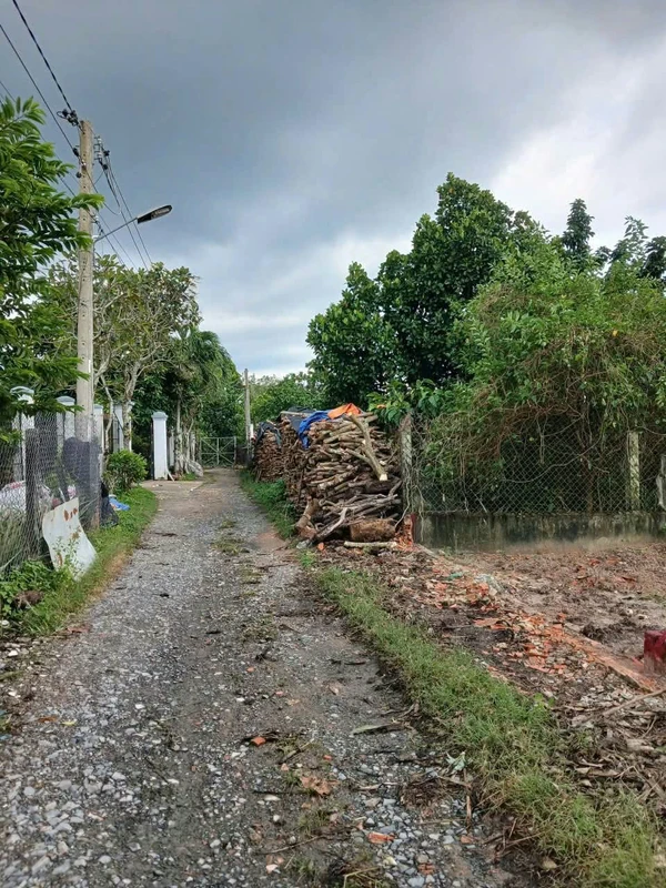 Bán 2 lô đất liền kề 90m² TP. Tây Ninh, giá 299 triệu/lô