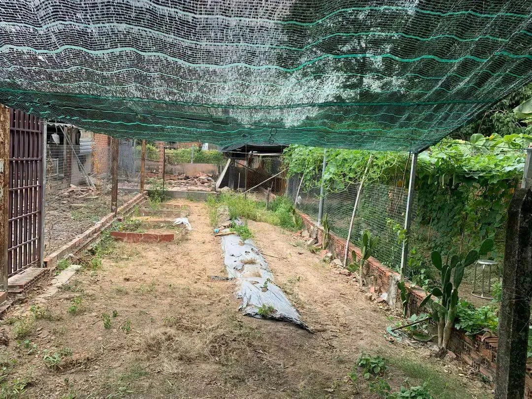Bán nhà 1 trệt 1 lầu 283m2, 3 phòng ngủ, đường DX 034 Phú Mỹ - Ảnh thu nhỏ 4