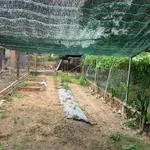 Bán nhà 1 trệt 1 lầu 283m2, 3 phòng ngủ, đường DX 034 Phú Mỹ - Ảnh thu nhỏ 4