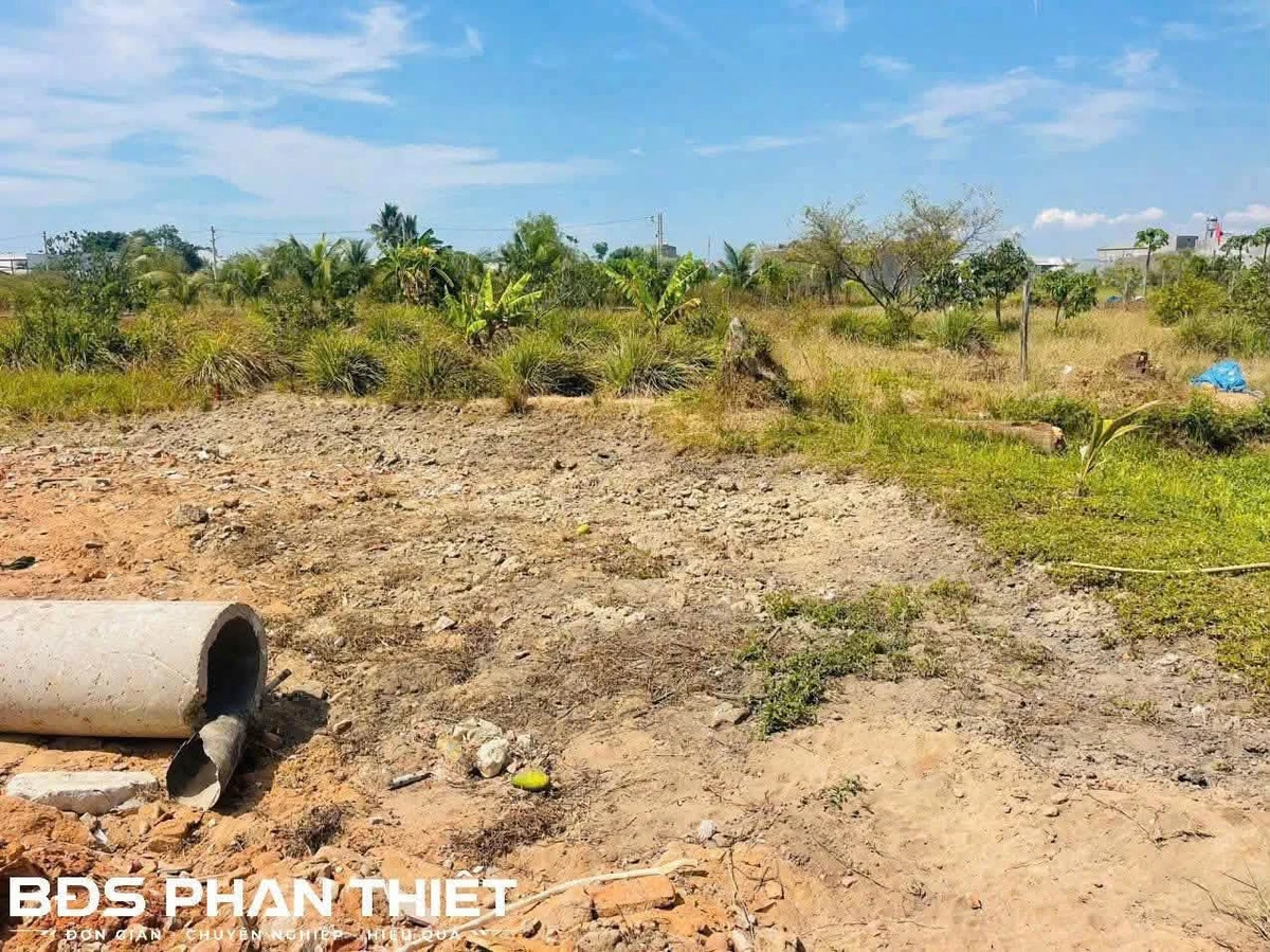 Bán đất 274m² quy hoạch thổ cư Phong Nẫm, Phan Thiết - Ảnh thu nhỏ 2