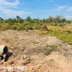 Bán đất 274m² quy hoạch thổ cư Phong Nẫm, Phan Thiết - Ảnh thu nhỏ 2