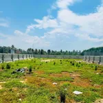 Bán lô đất vườn 550m² gần Phan Rang, Khánh Hòa - Ảnh thu nhỏ 4