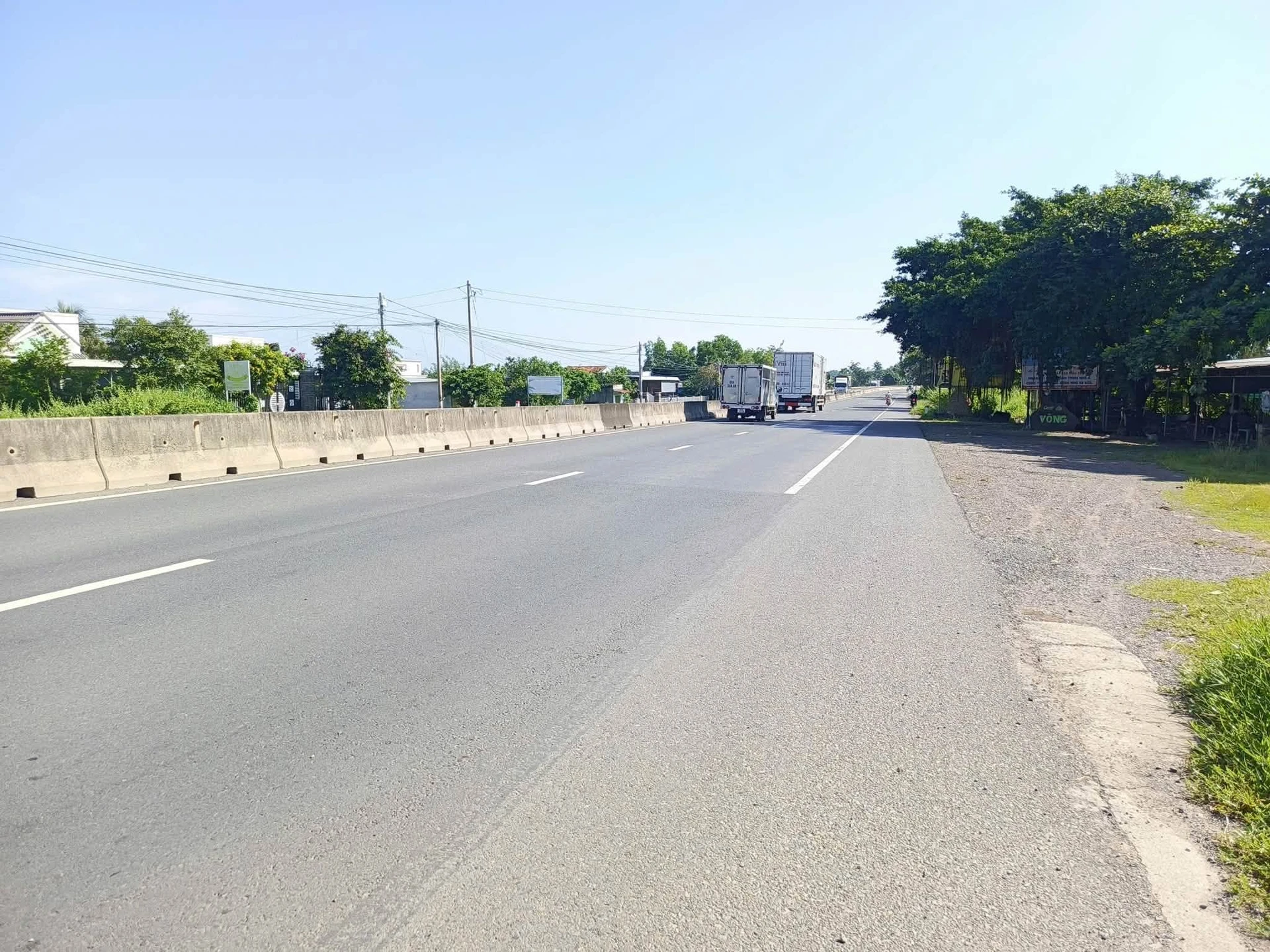 Bán lô đất cây trồng 3000m² Lâm Đồng mặt tiền bê tông - Ảnh 1