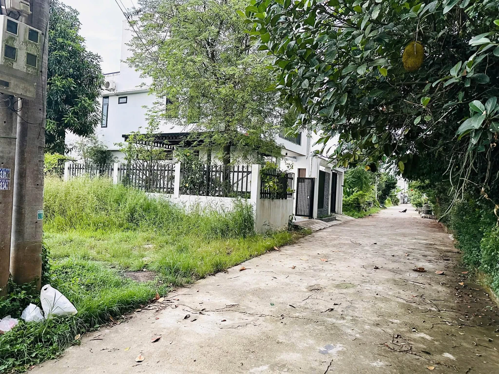 Bán đất KQH Trung Đông Huế 142m2 - Ảnh 1