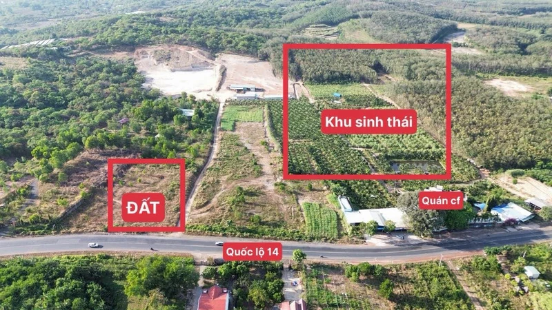 Bán đất mặt tiền Quốc Lộ 14 Đồng Phú 2.496m² 3.2 tỷ