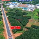 Bán 3 nền đất mặt tiền Xuyên Tâm Đồng Phú, 200m², 500 triệu/nền - Ảnh thu nhỏ 5