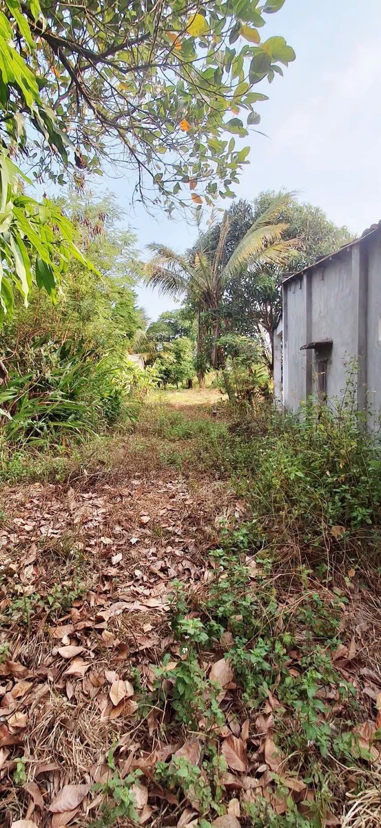 Bán đất 2400m² thổ cư 200m² Bình Thuận, Bình Thạnh - Ảnh thu nhỏ 2