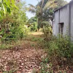 Bán đất 2400m² thổ cư 200m² Bình Thuận, Bình Thạnh - Ảnh thu nhỏ 2