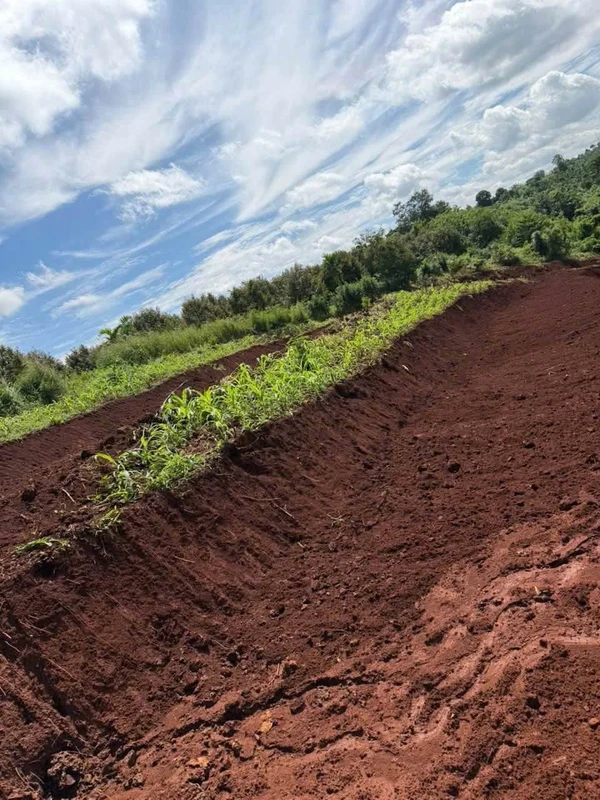 Bán 10.000m² đất Đắk Lắk Cư Mgar EaPok