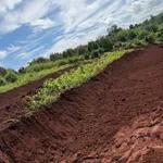 Bán 10.000m² đất Đắk Lắk Cư Mgar EaPok - Ảnh thu nhỏ 1