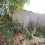 Bán đất 312m² có nhà cấp 4 Phước Dinh, Khánh Hòa - 750 triệu - Ảnh thu nhỏ 1