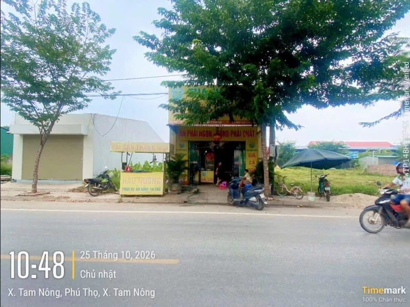 Bán đất 100m² Tam Nông, Phú Thọ, mặt tiền 5m, 2 tỷ