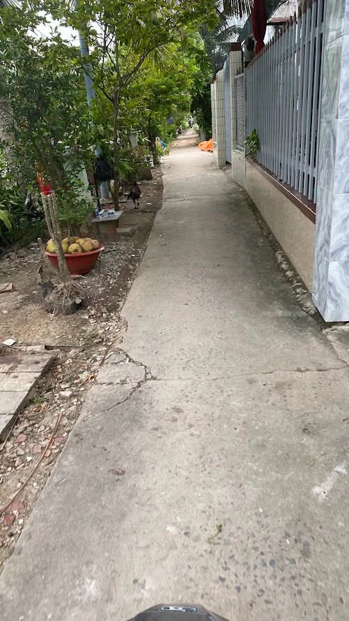 Bán đất 581 m2 Phường Sơn Đông, Bến Tre - Ảnh 1