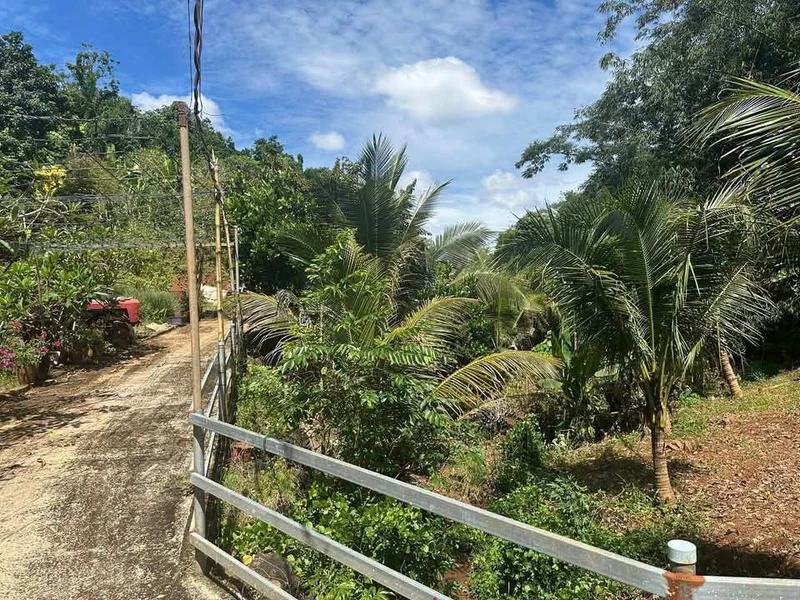 Lô đất 2100m² Suối Tre Long Khánh 1 tỷ 9